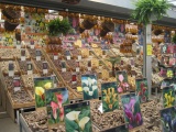 AngloWorld.cz: scotland-07-2011-lr-172.jpg